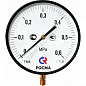 Манометр радиальный ТМ-810Р.00 Дк250мм Росма